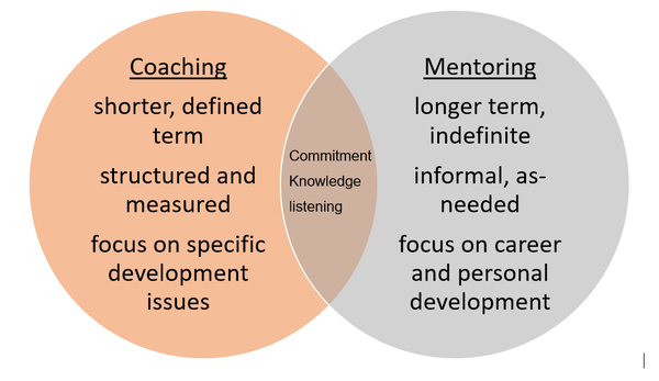 Executive Coaching Diagram